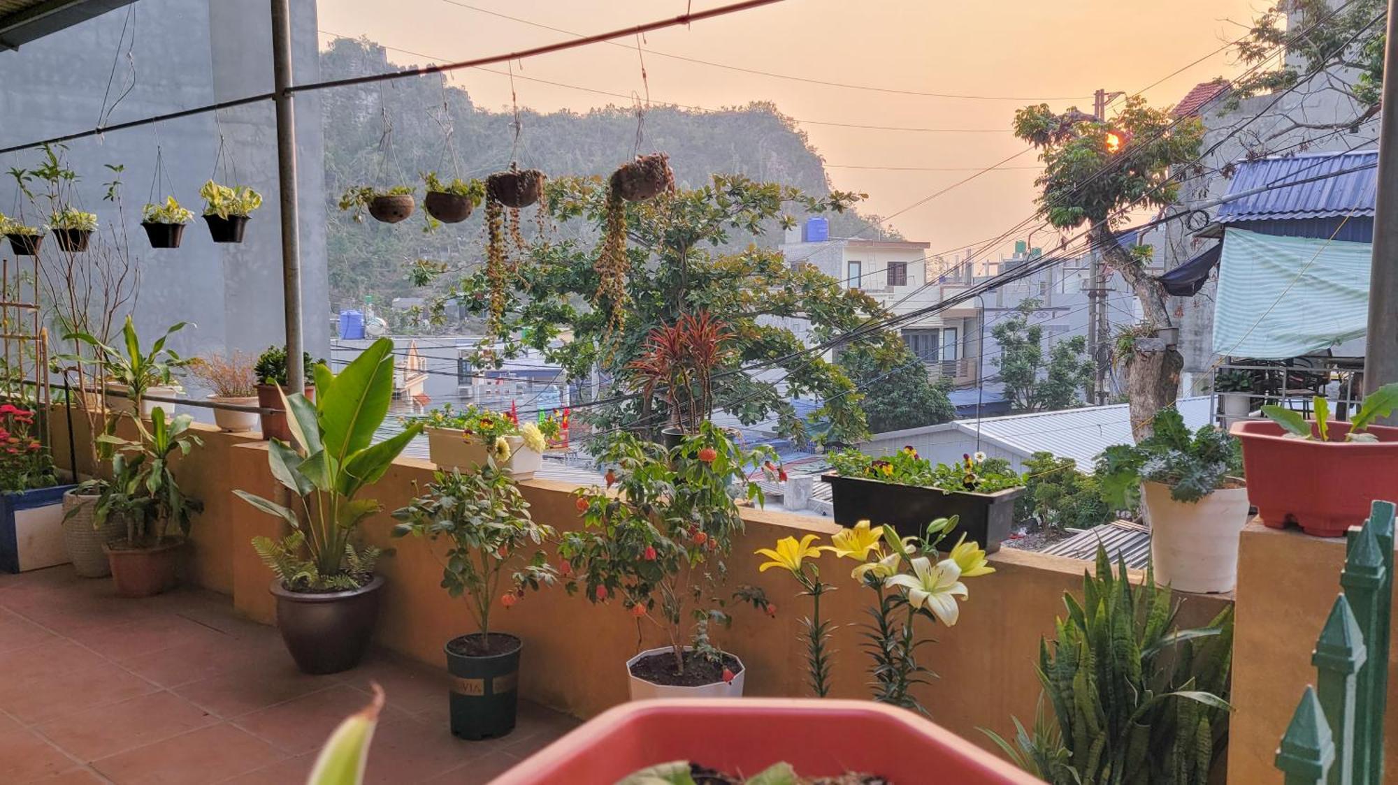 فندق Tiny Garden House Cat Ba Chan Chau المظهر الخارجي الصورة